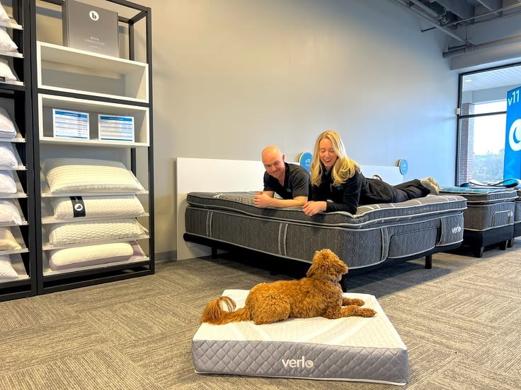 Amigo Mattress & Furniture Blog